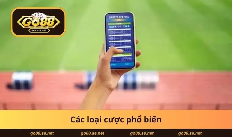 Cách Đọc Kèo Rung Bóng Đá - Bí Quyết Thắng Cược Trực Tiếp 2 Các loại cược phổ biến