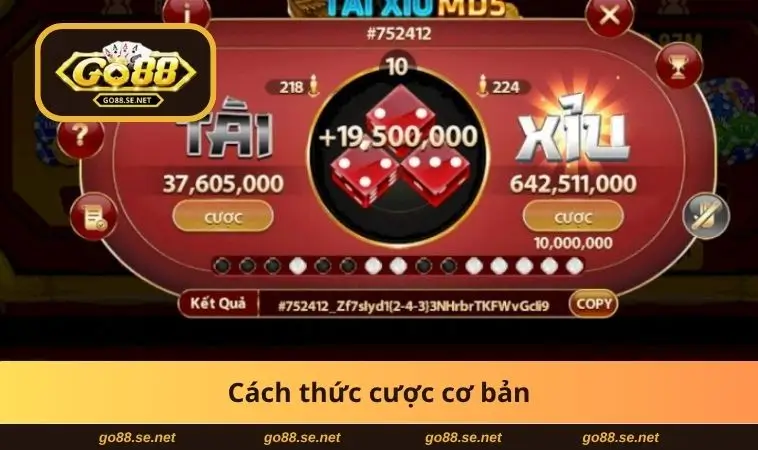 Cách thức cược cơ bản