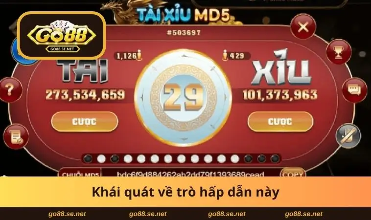 Khái quát về trò hấp dẫn này